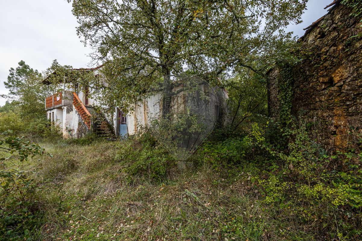 4 bedrooms House in Ansiao, Portugal No. 162307