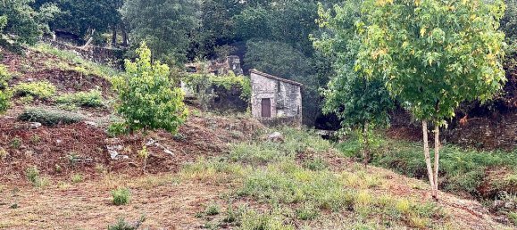 1 bedroom House in Valenca, Portugal No. 16181 13