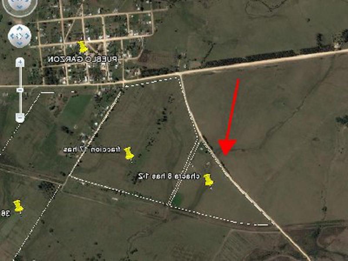  Farm in Maldonado, Uruguay No. 14271