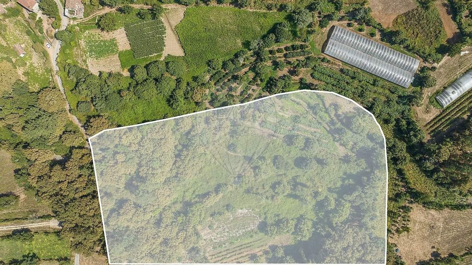  Land in Fiscal, Portugal No. 310485