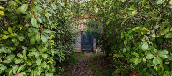 3 Schlafzimmer Haus in Valenzano, Italy, Nr. 90263 18