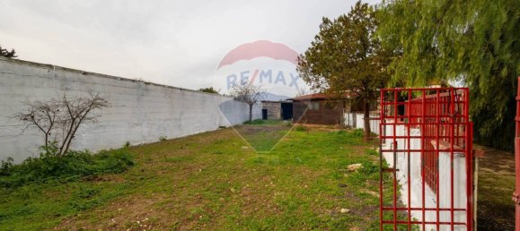 3 Schlafzimmer Haus in Valenzano, Italy, Nr. 90263 6