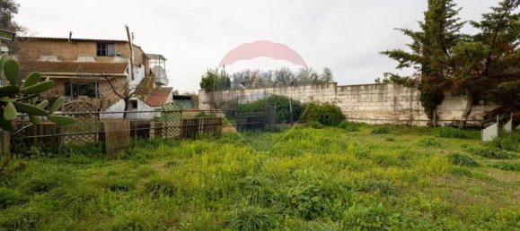 3 Schlafzimmer Haus in Valenzano, Italy, Nr. 90263 15