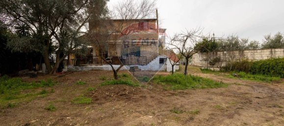 3 Schlafzimmer Haus in Valenzano, Italy, Nr. 90263 10