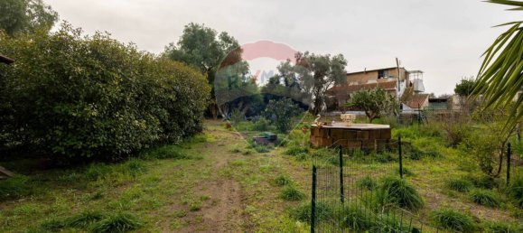 3 Schlafzimmer Haus in Valenzano, Italy, Nr. 90263 13