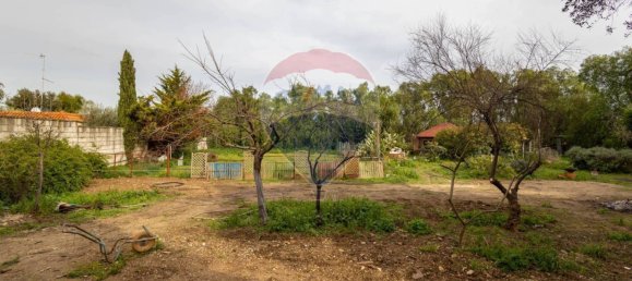 3 Schlafzimmer Haus in Valenzano, Italy, Nr. 90263 28