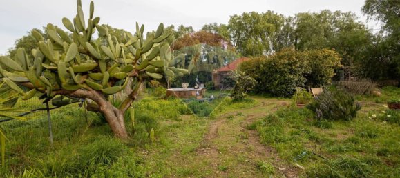 3 Schlafzimmer Haus in Valenzano, Italy, Nr. 90263 12