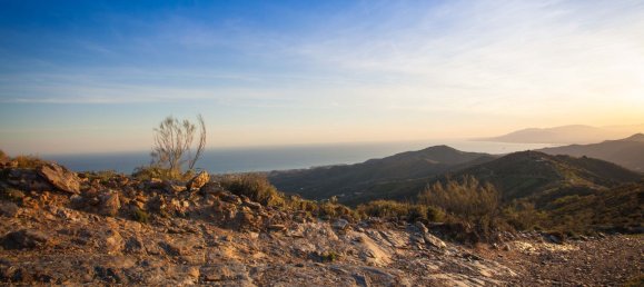 Terreno em Moclinejo, Spain N.º 51289 16