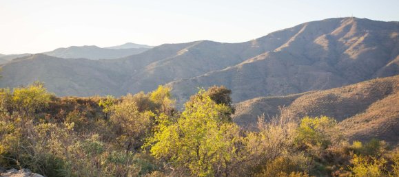 Terreno em Moclinejo, Spain N.º 51289 11