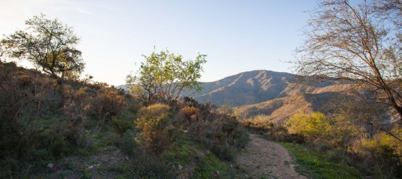 Terreno em Moclinejo, Spain N.º 51289 9