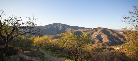 Terreno em Moclinejo, Spain N.º 51289 7