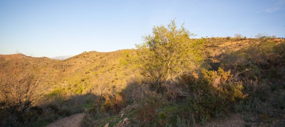 Terreno em Moclinejo, Spain N.º 51289 5