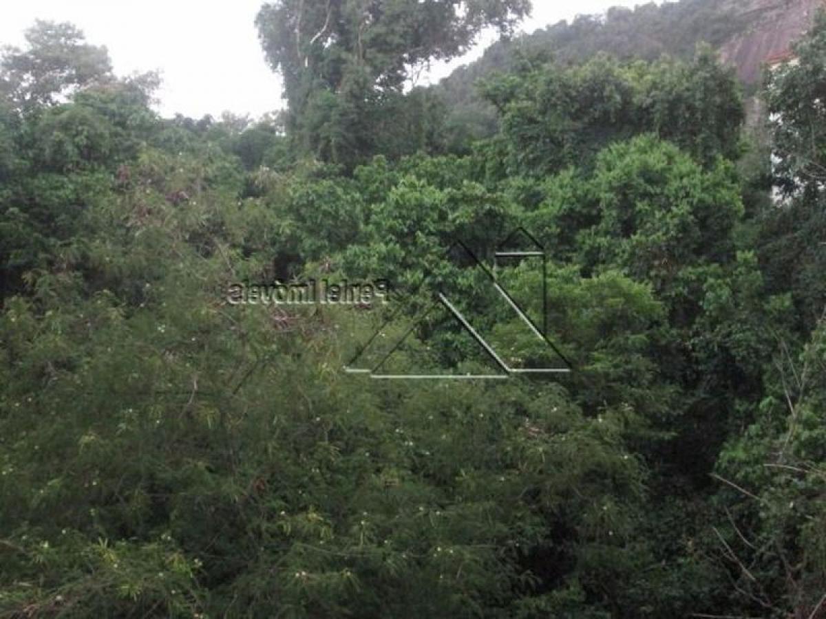 Estudio en Rio de Janeiro, Brazil No. 530685