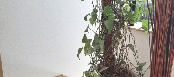 3-Zimmer Doppelhaus in Duisburg, Germany, Nr. 341196 16