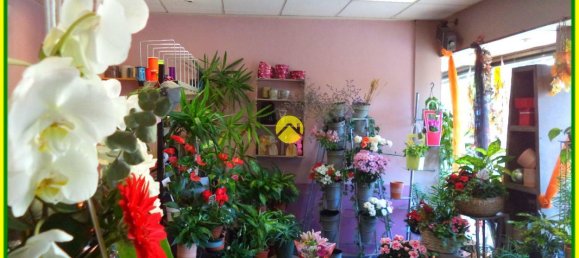 2 bedrooms Apartment in Neuvy-sur-Barangeon, France No. 226749 8