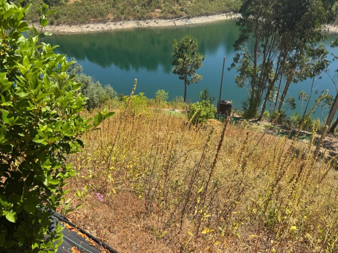  Land in Tomar, Portugal No. 247584