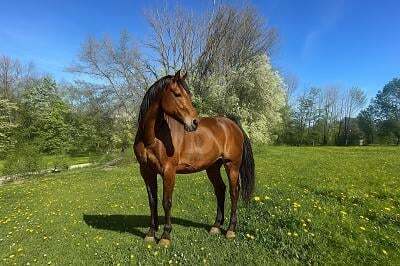 2000m² Land in Starnberg, Germany No. 287555