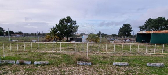 مستودع في Palmela, Portugal 531متر مربع رقم 88417 6