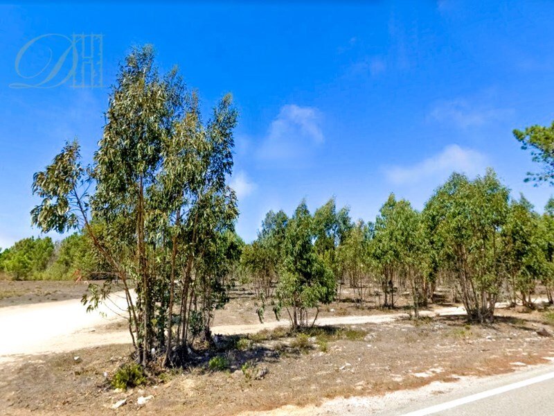  Land in Vila do Bispo, Portugal No. 48829