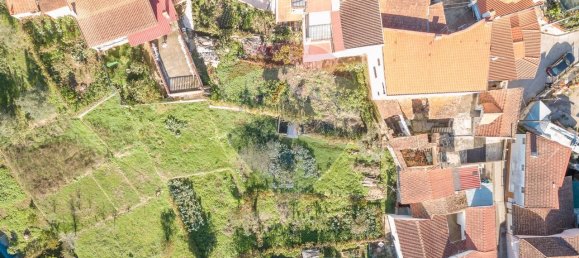 4 bedrooms House in Penacova, Portugal No. 27885 15