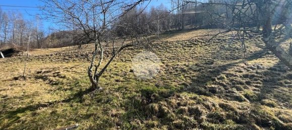 4-Zimmer Haus in Viù, Italy, Nr. 89059 30