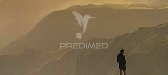 Apartamento de 1 dormitorio en Funchal, Portugal No. 142244 12