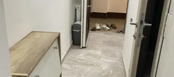 Studio à Brigittenau, Austria No. 239299 7