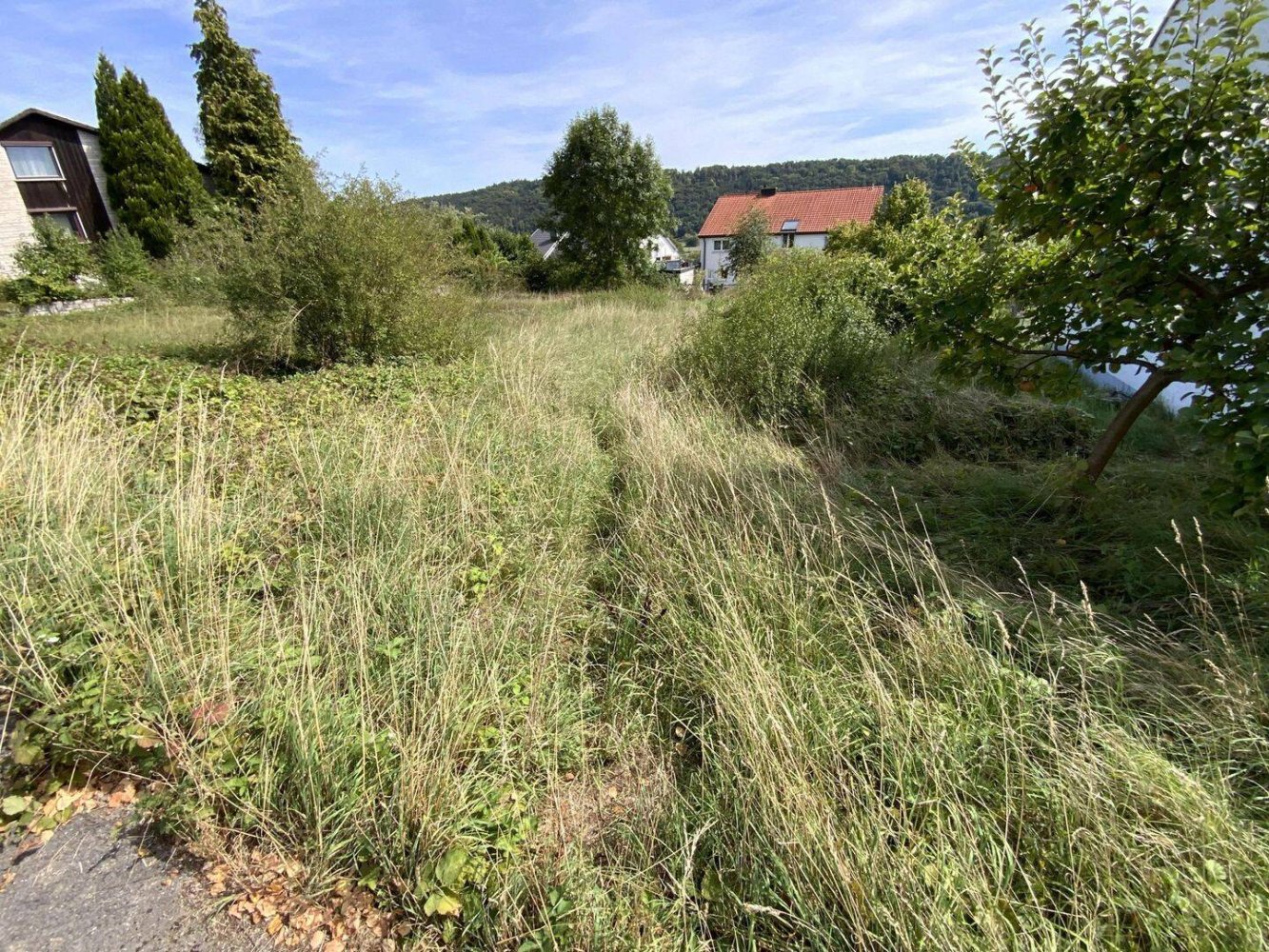  Land in Eichstatt, Germany No. 274666