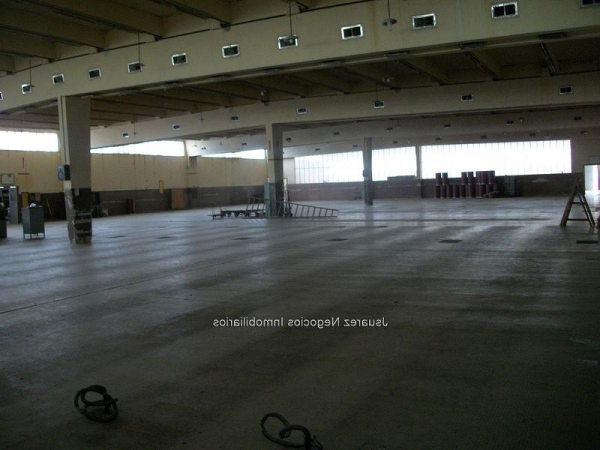  Building in Canelones, Uruguay No. 16351