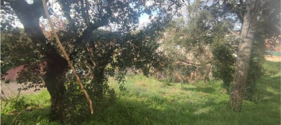 837m² Land in Caldes de Malavella, Spain No. 21932 8