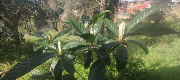 837m² Land in Caldes de Malavella, Spain No. 21932 12