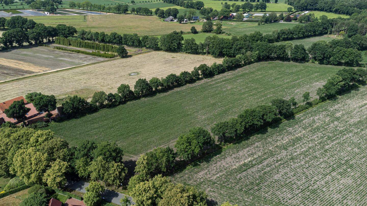 Terrain à Ammerland, Germany No. 125973