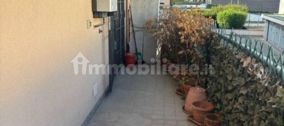 1 chambre Appartement à Settimo Milanese, Italy No. 330736 8