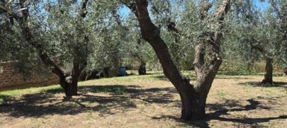 7 bedrooms Apartment in Monte Romano, Italy No. 333045 8