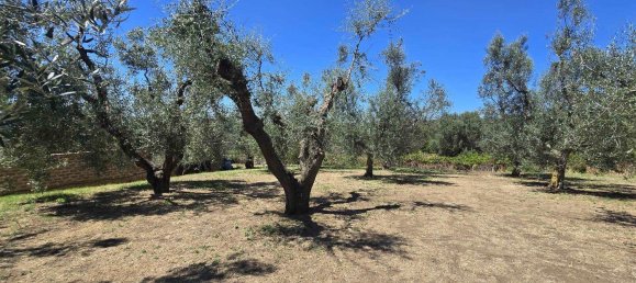 7 bedrooms Apartment in Monte Romano, Italy No. 333045 9