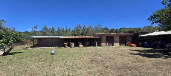 7 bedrooms Apartment in Monte Romano, Italy No. 333045 2