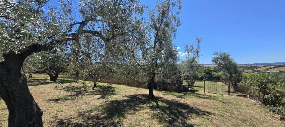 7 bedrooms Apartment in Monte Romano, Italy No. 333045 3