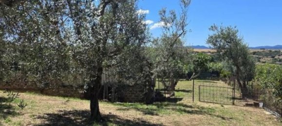 7 bedrooms Apartment in Monte Romano, Italy No. 333045 4