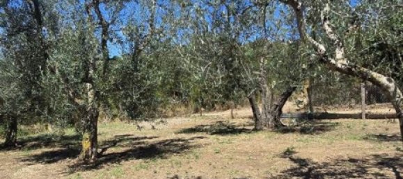 7 bedrooms Apartment in Monte Romano, Italy No. 333045 6