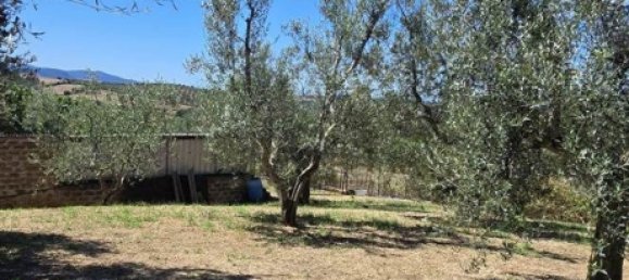 7 bedrooms Apartment in Monte Romano, Italy No. 333045 5