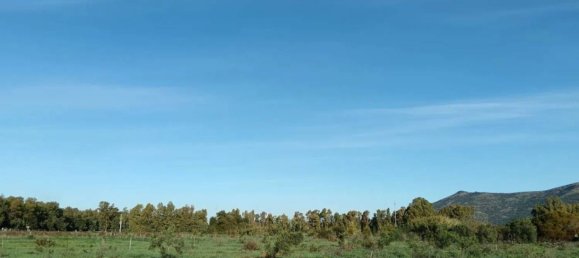 1غرفة عقار تجاري في Sardinia, Italy رقم 338333 3