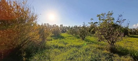 1غرفة عقار تجاري في Sardinia, Italy رقم 338333 7