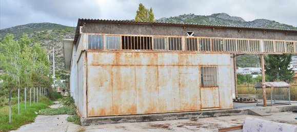 Property à Marathon, Greece 360m² No. 6924 3