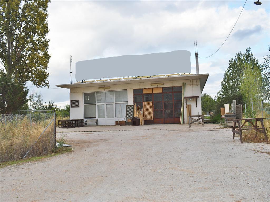 Property à Marathon, Greece 360m² No. 6924