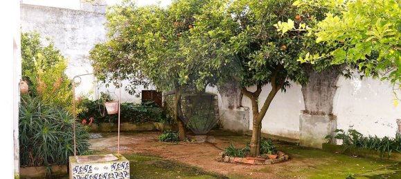 10 غرف نوم منزل في Monforte, Portugal رقم 170334 48