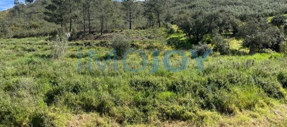 23970m² Land in Mexilhoeira Grande, Portugal No. 82390 13