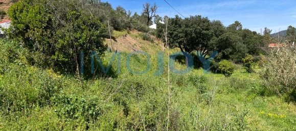 23970m² Land in Mexilhoeira Grande, Portugal No. 82390 8