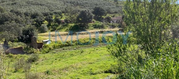 23970m² Land in Mexilhoeira Grande, Portugal No. 82390 15