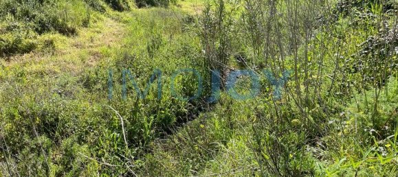 23970m² Land in Mexilhoeira Grande, Portugal No. 82390 11