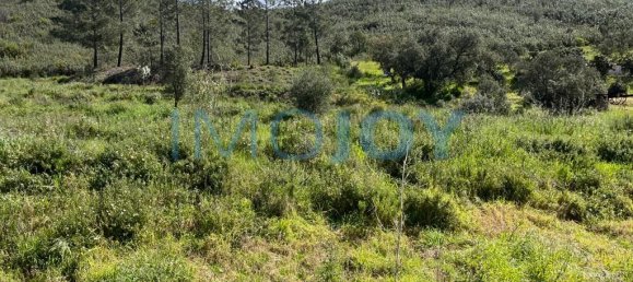 23970m² Land in Mexilhoeira Grande, Portugal No. 82390 10